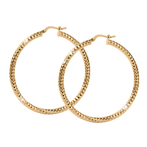 Daniel Steiger Arezzo Creole Large Hoop Earrings